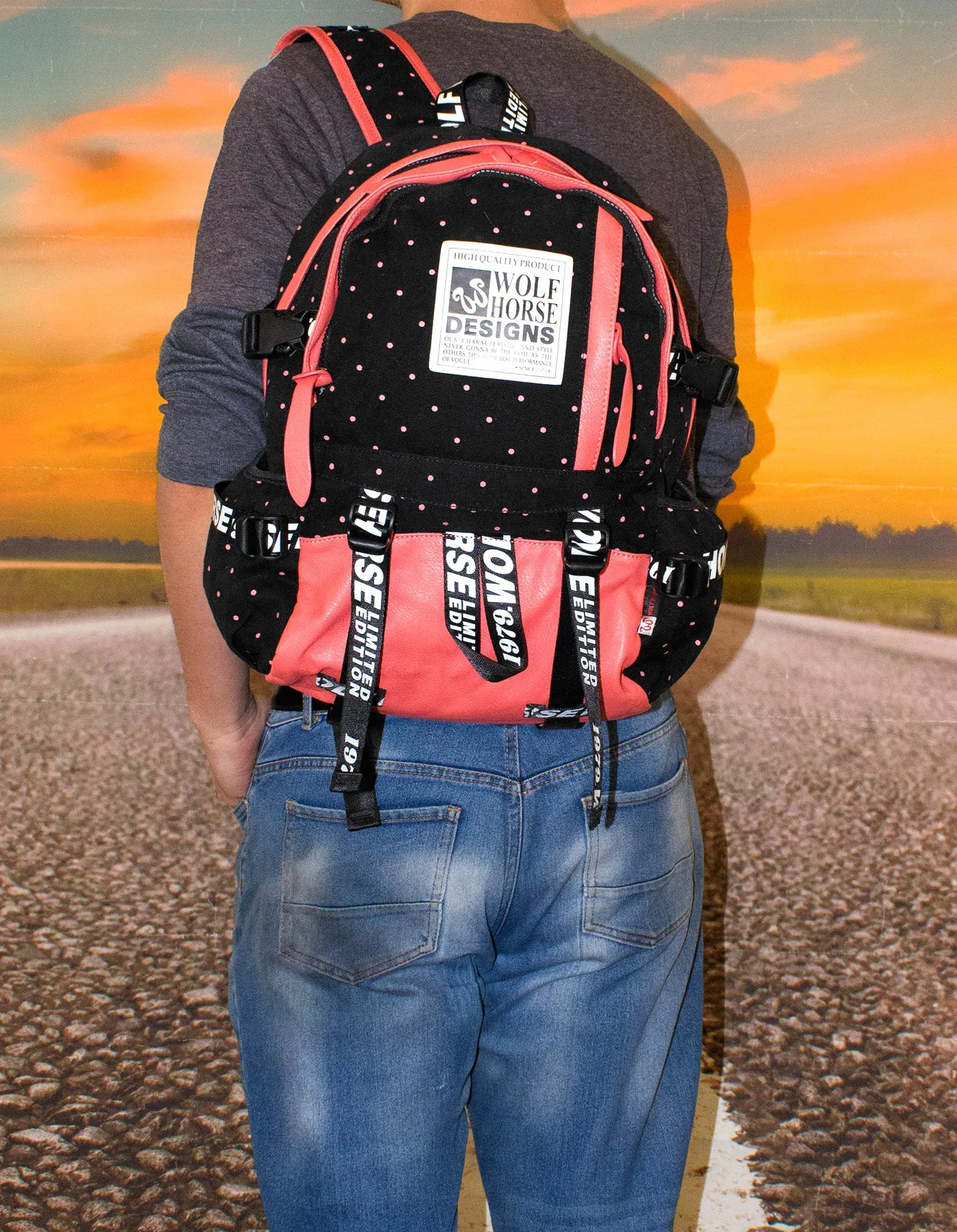 Fino K30 Wolf Horse 22L Unisex 15 Inch Laptop Backpack