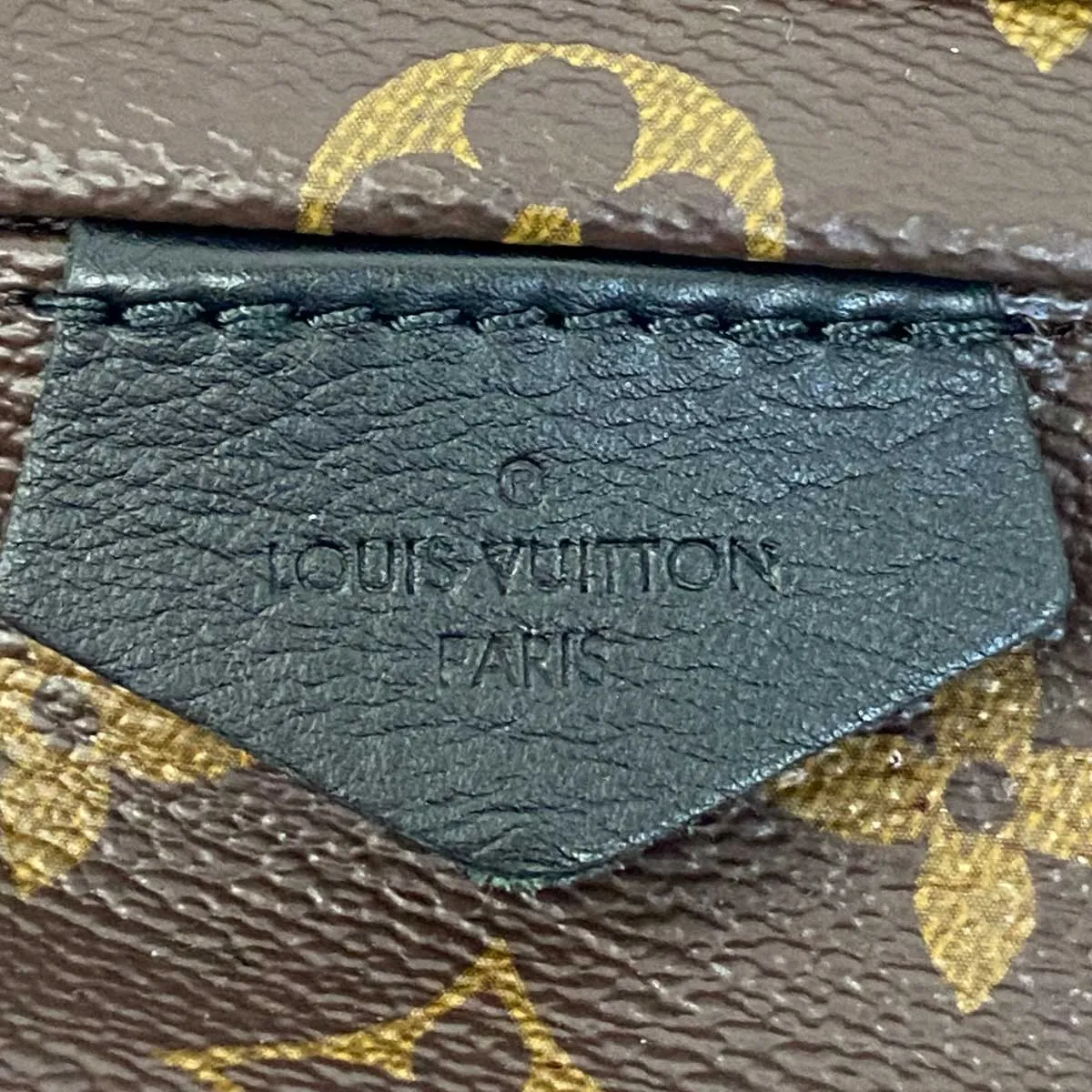 Louis Vuitton Palm Springs PM Backpack
