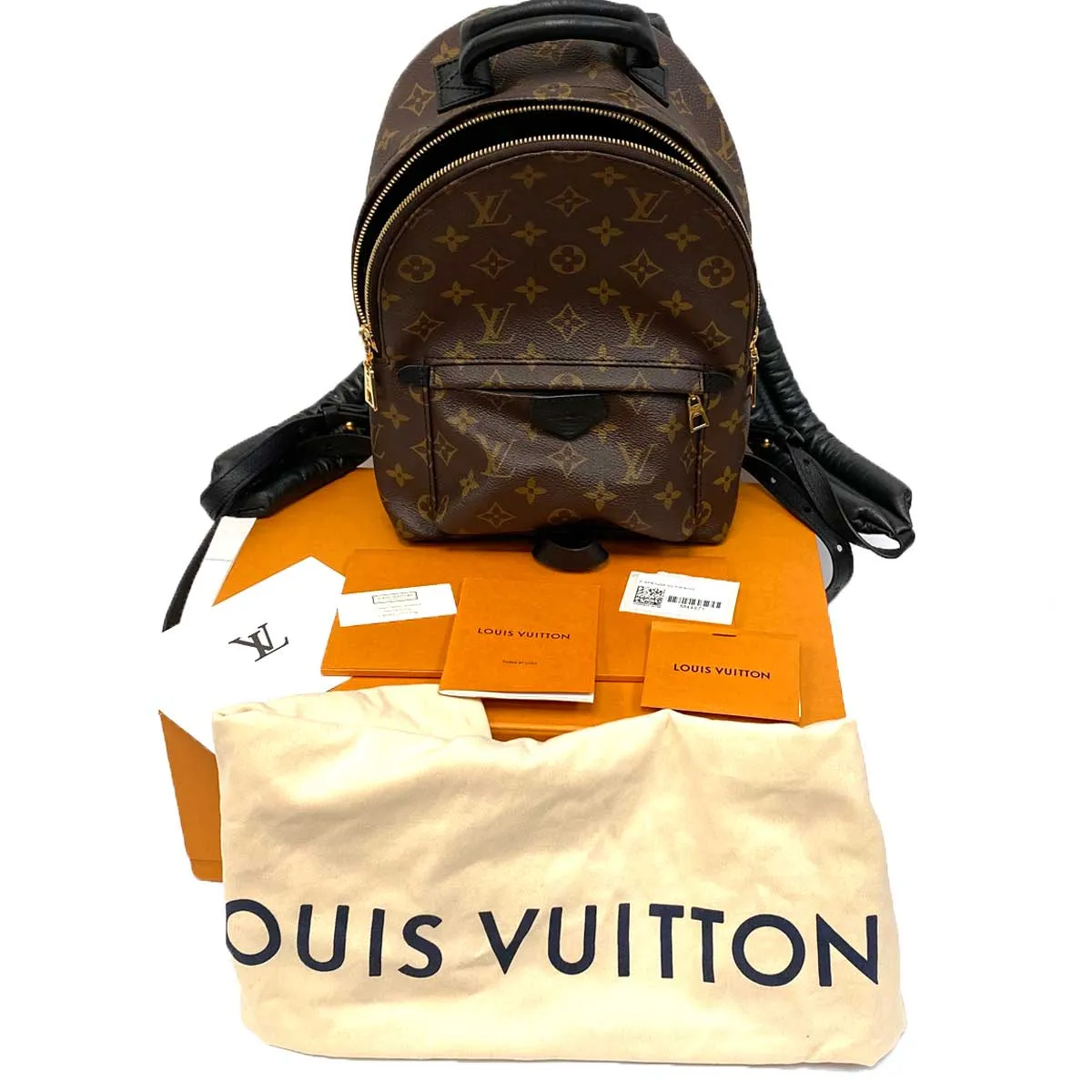 Louis Vuitton Palm Springs PM Backpack