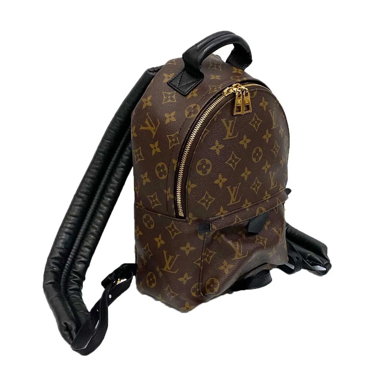 Louis Vuitton Palm Springs PM Backpack
