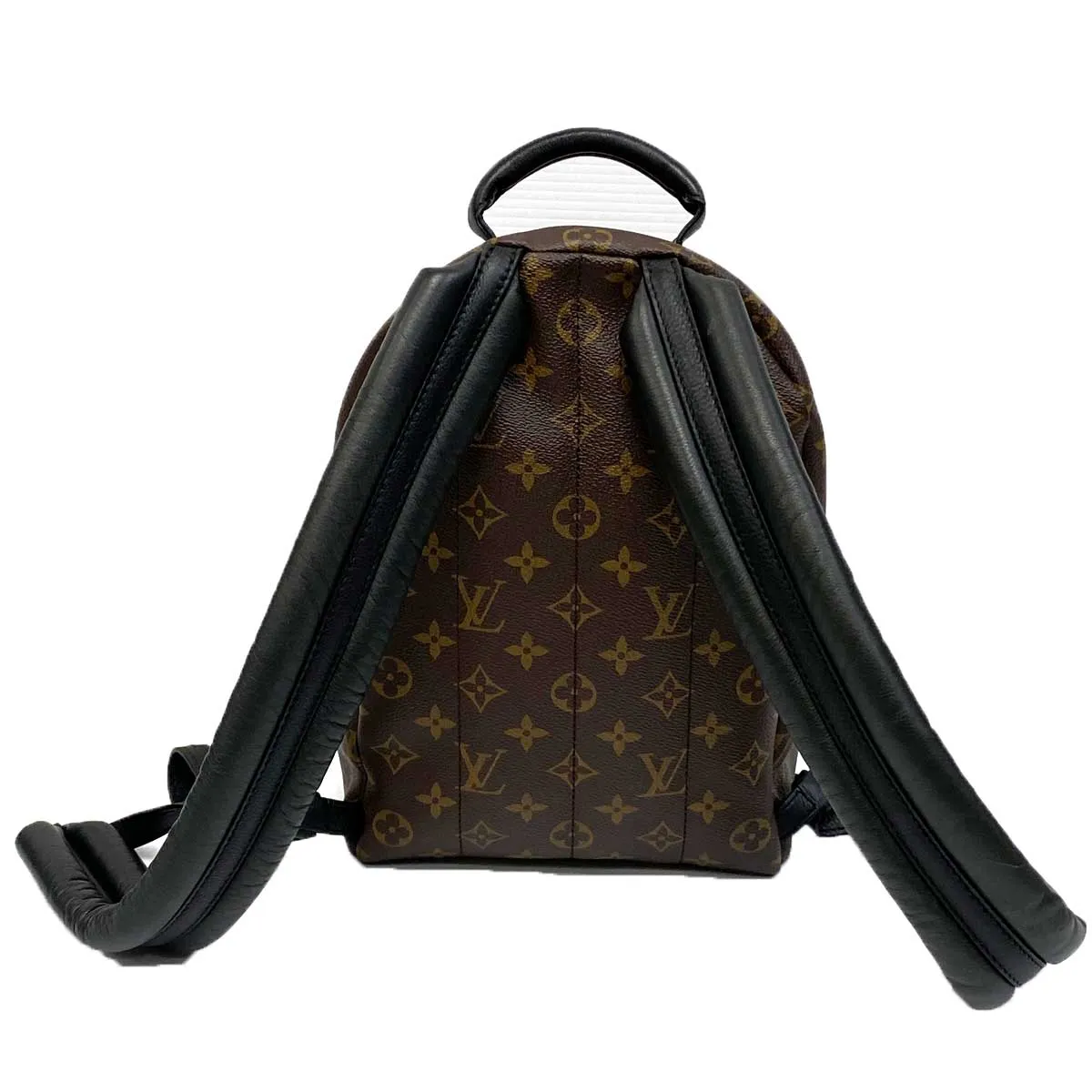 Louis Vuitton Palm Springs PM Backpack