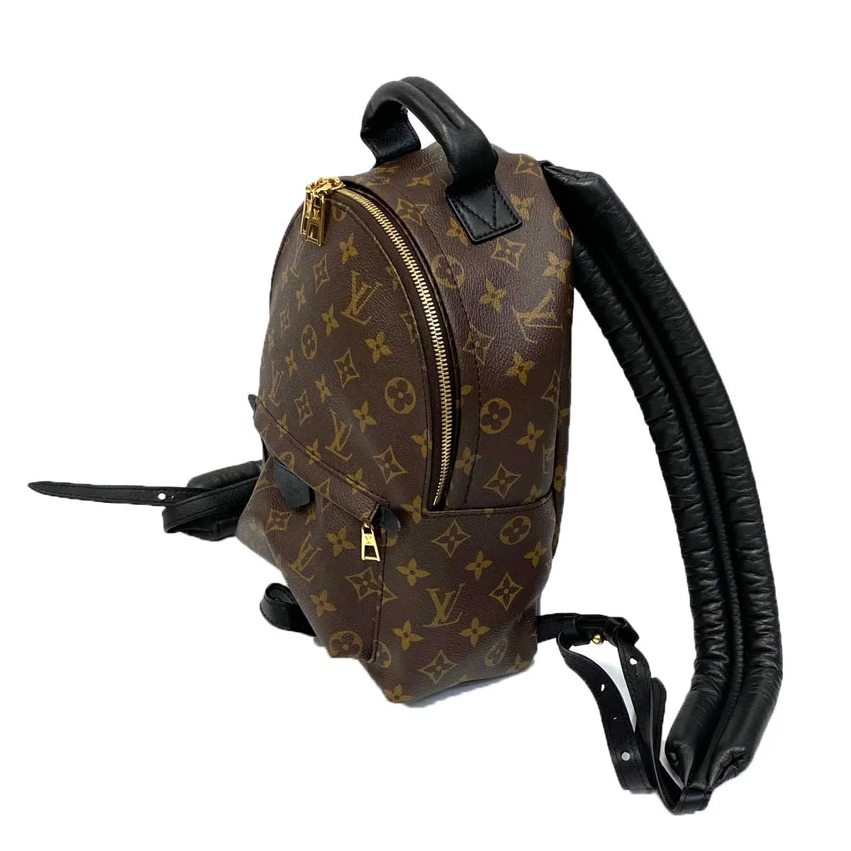 Louis Vuitton Palm Springs PM Backpack